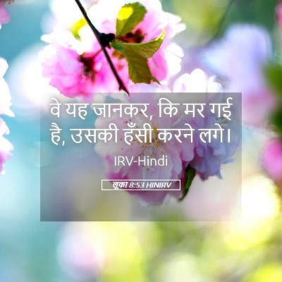 Picture 05 - लूका 8:53 HINIRV - वे यह जानकर, कि मर - Bible Verse Picture