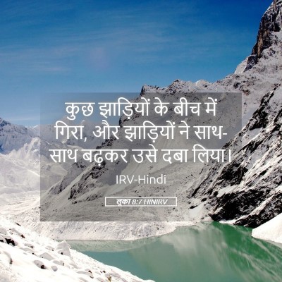 Picture 05 - लूका 8:7 HINIRV - कुछ झाड़ियों के - Bible Verse Picture