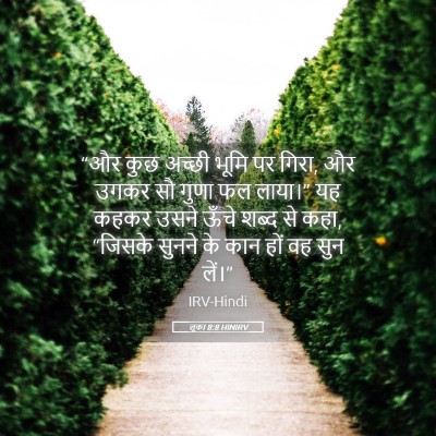 Picture 05 - लूका 8:8 HINIRV - “और कुछ अच्छी भूमि - Bible Verse Picture