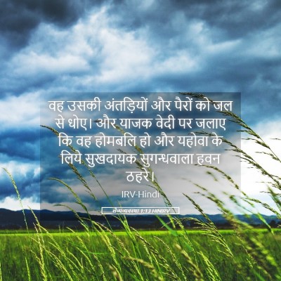 Picture 05 - लैव्यव्यवस्था 1:13 HINIRV - वह उसकी अंतड़ियों - Bible Verse Picture