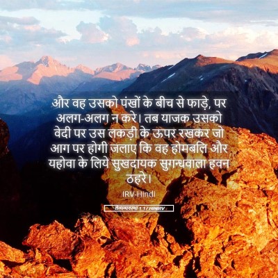 Picture 05 - लैव्यव्यवस्था 1:17 HINIRV - और वह उसको पंखों के - Bible Verse Picture