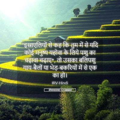 Picture 05 - लैव्यव्यवस्था 1:2 HINIRV - “इस्राएलियों से - Bible Verse Picture