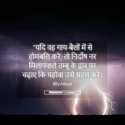 Picture 05 - लैव्यव्यवस्था 1:3 HINIRV - “यदि वह गाय-बैलों - Bible Verse Picture