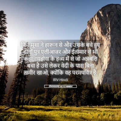 Picture 05 - लैव्यव्यवस्था 10:12 HINIRV - फिर मूसा ने हारून - Bible Verse Picture