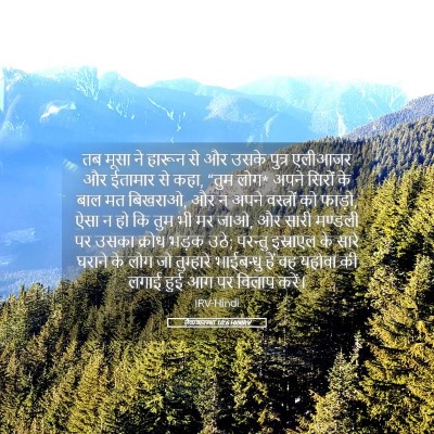 Picture 05 - लैव्यव्यवस्था 10:6 HINIRV - तब मूसा ने हारून से - Bible Verse Picture