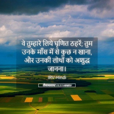 Picture 05 - लैव्यव्यवस्था 11:11 HINIRV - वे तुम्हारे लिये - Bible Verse Picture