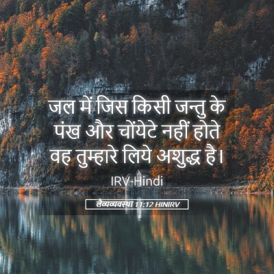 Picture 05 - लैव्यव्यवस्था 11:12 HINIRV - जल में जिस किसी - Bible Verse Picture