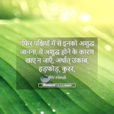 Picture 05 - लैव्यव्यवस्था 11:13 HINIRV - “फिर पक्षियों में - Bible Verse Picture