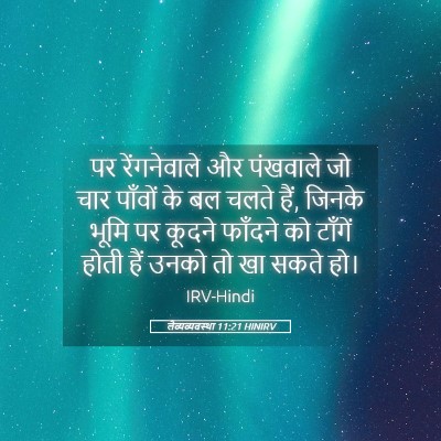 Picture 05 - लैव्यव्यवस्था 11:21 HINIRV - पर रेंगनेवाले और - Bible Verse Picture