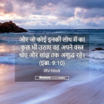Picture 05 - लैव्यव्यवस्था 11:25 HINIRV - और जो कोई इनकी लोथ - Bible Verse Picture
