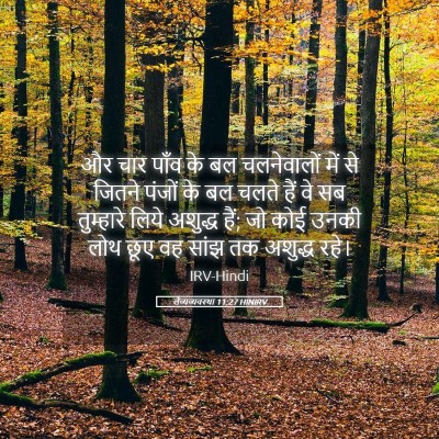 Picture 05 - लैव्यव्यवस्था 11:27 HINIRV - और चार पाँव के बल - Bible Verse Picture