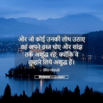 Picture 05 - लैव्यव्यवस्था 11:28 HINIRV - और जो कोई उनकी लोथ - Bible Verse Picture