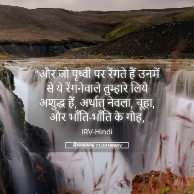 Picture 05 - लैव्यव्यवस्था 11:29 HINIRV - “और जो पृथ्वी पर - Bible Verse Picture