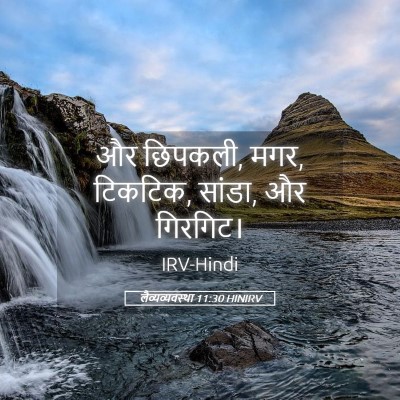 Picture 05 - लैव्यव्यवस्था 11:30 HINIRV - और छिपकली, मगर, - Bible Verse Picture