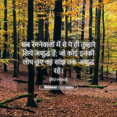 Picture 05 - लैव्यव्यवस्था 11:31 HINIRV - सब रेंगनेवालों - Bible Verse Picture