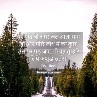 Picture 05 - लैव्यव्यवस्था 11:38 HINIRV - पर यदि बीज पर जल - Bible Verse Picture