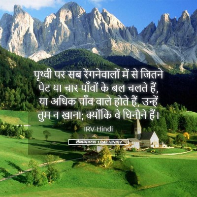 Picture 05 - लैव्यव्यवस्था 11:42 HINIRV - पृथ्वी पर सब - Bible Verse Picture