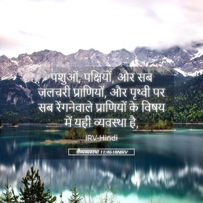 Picture 05 - लैव्यव्यवस्था 11:46 HINIRV - पशुओं, पक्षियों, और - Bible Verse Picture