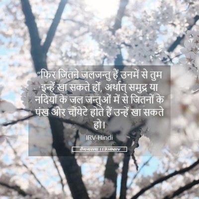 Picture 05 - लैव्यव्यवस्था 11:9 HINIRV - “फिर जितने - Bible Verse Picture