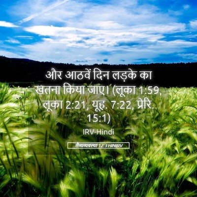 Picture 05 - लैव्यव्यवस्था 12:3 HINIRV - और आठवें दिन लड़के - Bible Verse Picture