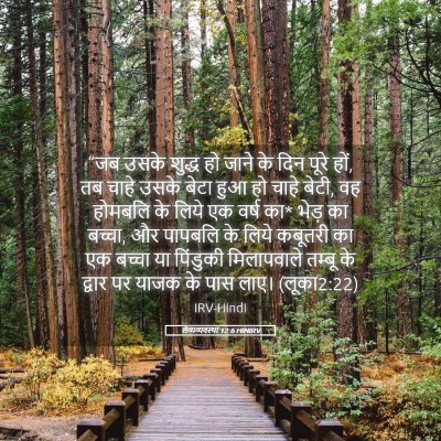 Picture 05 - लैव्यव्यवस्था 12:6 HINIRV - “जब उसके शुद्ध हो - Bible Verse Picture