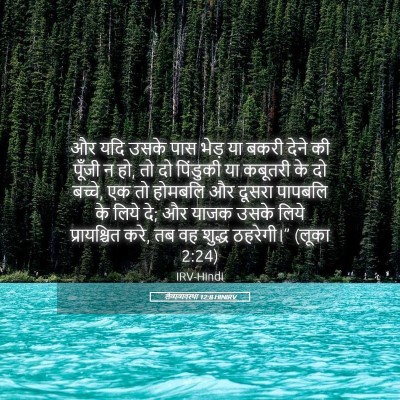 Picture 05 - लैव्यव्यवस्था 12:8 HINIRV - और यदि उसके पास - Bible Verse Picture