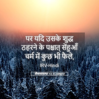 Picture 05 - लैव्यव्यवस्था 13:35 HINIRV - पर यदि उसके शुद्ध - Bible Verse Picture