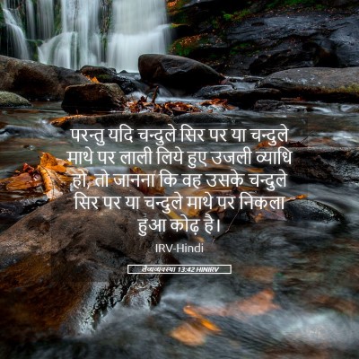 Picture 05 - लैव्यव्यवस्था 13:42 HINIRV - परन्तु यदि - Bible Verse Picture