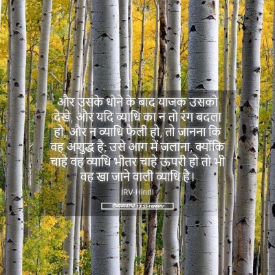 Picture 05 - लैव्यव्यवस्था 13:55 HINIRV - और उसके धोने के बाद - Bible Verse Picture