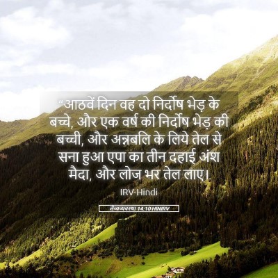 Picture 05 - लैव्यव्यवस्था 14:10 HINIRV - “आठवें दिन वह दो - Bible Verse Picture