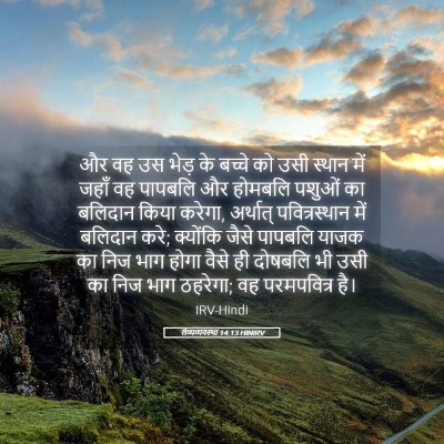Picture 05 - लैव्यव्यवस्था 14:13 HINIRV - और वह उस भेड़ के - Bible Verse Picture
