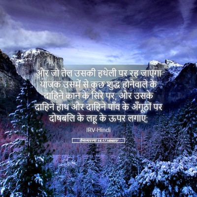 Picture 05 - लैव्यव्यवस्था 14:17 HINIRV - और जो तेल उसकी - Bible Verse Picture