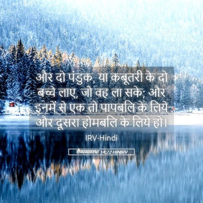 Picture 05 - लैव्यव्यवस्था 14:22 HINIRV - और दो पंडुक, या - Bible Verse Picture