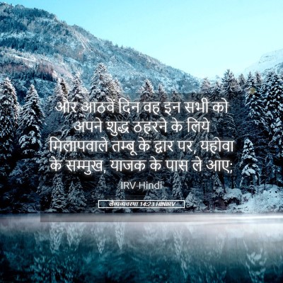 Picture 05 - लैव्यव्यवस्था 14:23 HINIRV - और आठवें दिन वह इन - Bible Verse Picture