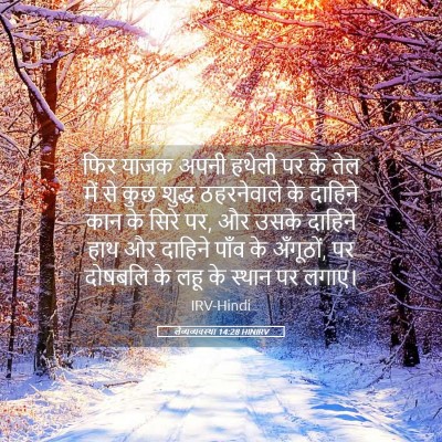 Picture 05 - लैव्यव्यवस्था 14:28 HINIRV - फिर याजक अपनी - Bible Verse Picture