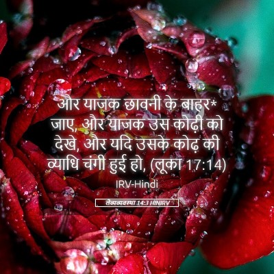 Picture 05 - लैव्यव्यवस्था 14:3 HINIRV - और याजक छावनी के - Bible Verse Picture