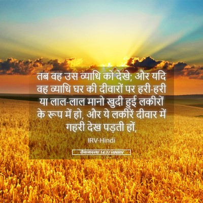 Picture 05 - लैव्यव्यवस्था 14:37 HINIRV - तब वह उस व्याधि को - Bible Verse Picture