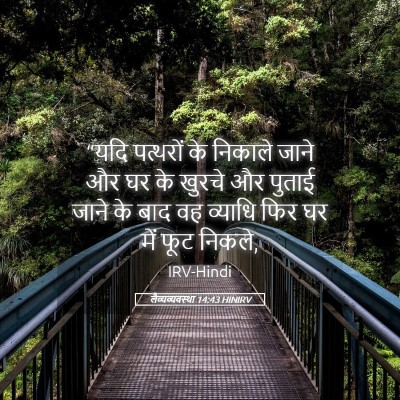 Picture 05 - लैव्यव्यवस्था 14:43 HINIRV - “यदि पत्थरों के - Bible Verse Picture