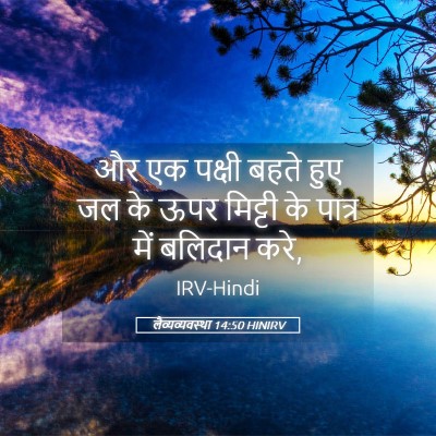 Picture 05 - लैव्यव्यवस्था 14:50 HINIRV - और एक पक्षी बहते - Bible Verse Picture