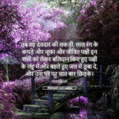Picture 05 - लैव्यव्यवस्था 14:51 HINIRV - तब वह देवदार की - Bible Verse Picture