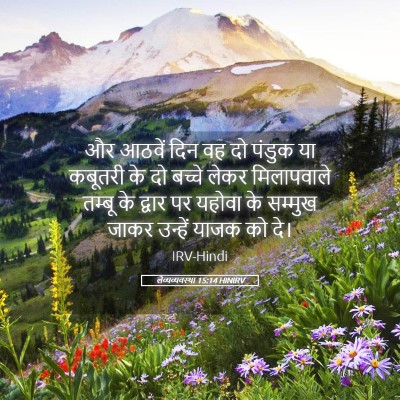 Picture 05 - लैव्यव्यवस्था 15:14 HINIRV - और आठवें दिन वह दो - Bible Verse Picture