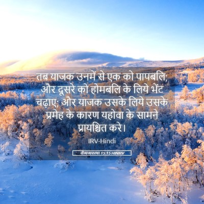 Picture 05 - लैव्यव्यवस्था 15:15 HINIRV - तब याजक उनमें से एक - Bible Verse Picture