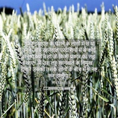 Picture 05 - लैव्यव्यवस्था 17:10 HINIRV - “फिर इस्राएल के - Bible Verse Picture