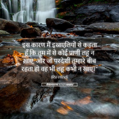 Picture 05 - लैव्यव्यवस्था 17:12 HINIRV - इस कारण मैं - Bible Verse Picture