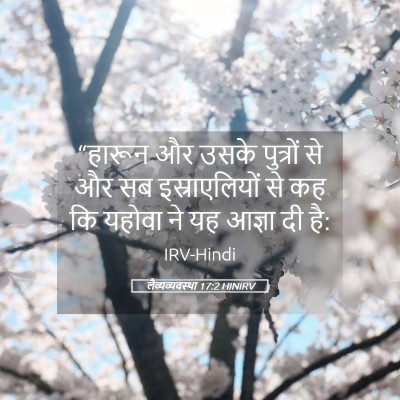 Picture 05 - लैव्यव्यवस्था 17:2 HINIRV - “हारून और उसके - Bible Verse Picture