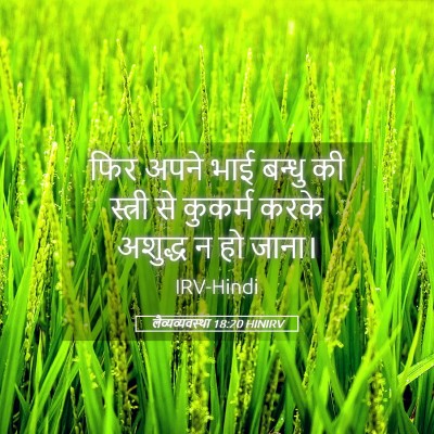 Picture 05 - लैव्यव्यवस्था 18:20 HINIRV - फिर अपने भाई बन्धु - Bible Verse Picture