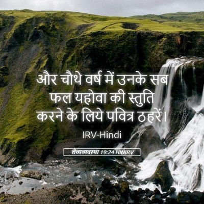 Picture 05 - लैव्यव्यवस्था 19:24 HINIRV - और चौथे वर्ष में - Bible Verse Picture