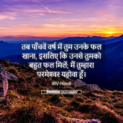 Picture 05 - लैव्यव्यवस्था 19:25 HINIRV - तब पाँचवें वर्ष - Bible Verse Picture