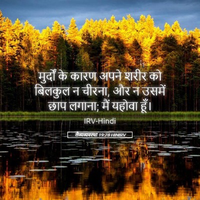Picture 05 - लैव्यव्यवस्था 19:28 HINIRV - मुर्दों के कारण - Bible Verse Picture