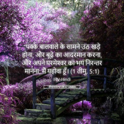 Picture 05 - लैव्यव्यवस्था 19:32 HINIRV - “पक्के बालवाले के - Bible Verse Picture